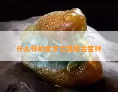 什么样的紫罗兰翡翠会变种