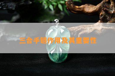 三合手链作用及其关键性