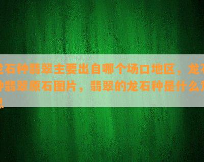 龙石种翡翠主要出自哪个场口地区，龙石种翡翠原石图片，翡翠的龙石种是什么意思