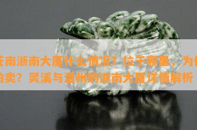 苍南浙南大厦什么情况？位于哪里，为何拍卖？灵溪与温州的浙南大厦详情解析