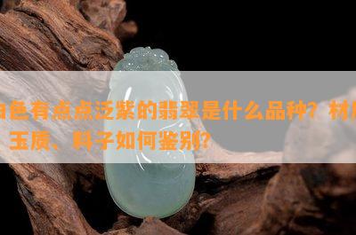 白色有点点泛紫的翡翠是什么品种？材质、玉质、料子如何鉴别？