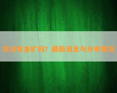 东川有金矿吗？最新消息与分布情况