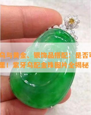 紫牙乌与黄金、银饰品搭配：是否可行？看这里！紫牙乌配金珠图片全揭秘