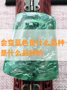 绿色玉石会变蓝色是什么品种-绿色玉石会变蓝色是什么品种的