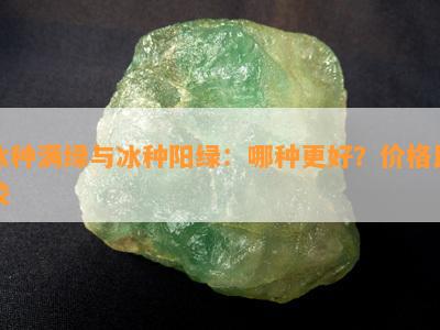 冰种满绿与冰种阳绿：哪种更好？价格比较