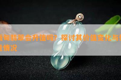 缅甸翡翠会升值吗？探讨其价值变化与储量情况