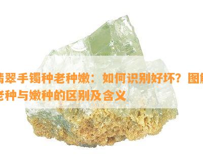 翡翠手镯种老种嫩：如何识别好坏？图解老种与嫩种的区别及含义