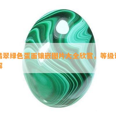 翡翠绿色蛋面镶嵌图片大全欣赏，等级详解