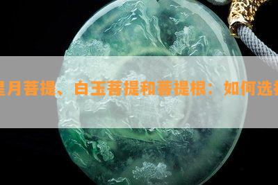 星月菩提、白玉菩提和菩提根：怎样选择？