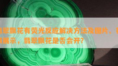 翡翠飘花有荧光反应解决方法及图片、视频展示，翡翠飘花是不是会开？