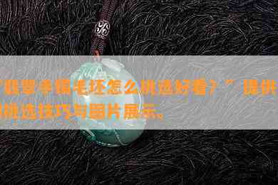 “翡翠手镯毛坯怎么挑选好看？”提供详细挑选技巧与图片展示。