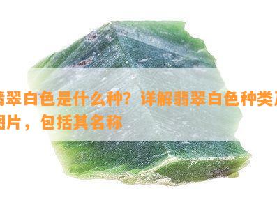 翡翠白色是什么种？详解翡翠白色种类及图片，包括其名称