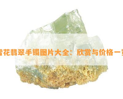 雪花翡翠手镯图片大全：欣赏与价格一览