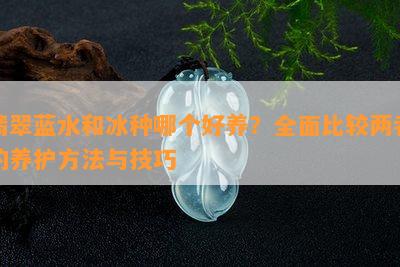 翡翠蓝水和冰种哪个好养？全面比较两者的养护方法与技巧