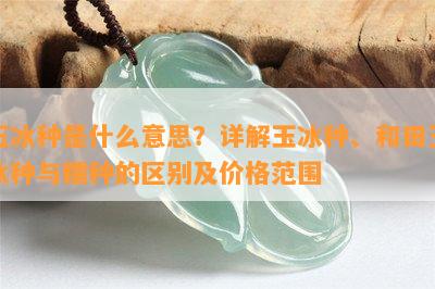 玉冰种是什么意思？详解玉冰种、和田玉冰种与糯种的区别及价格范围