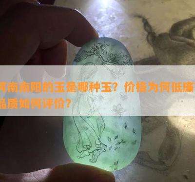 河南的玉是哪种玉？价格为何低廉？品质怎样评价？