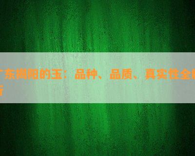 广东揭阳的玉：品种、品质、真实性全解析