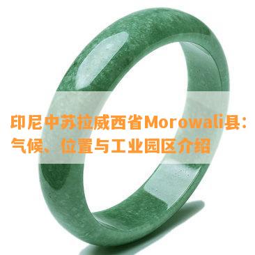 印尼中苏拉威西省Morowali县：气候、位置与工业园区介绍