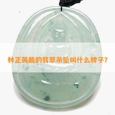 林正英戴的翡翠吊坠叫什么牌子？