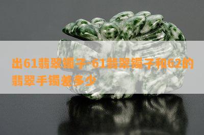 出61翡翠镯子-61翡翠镯子和62的翡翠手镯差多少