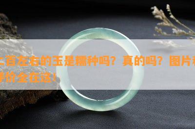 二百左右的玉是糯种吗？真的吗？图片和评价全在这！