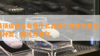 最顶级的玉石是什么品种？探索珍贵玉石的种类、图片与名称