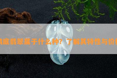 晴底翡翠属于什么种？了解其特性与价格