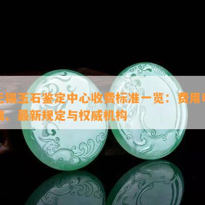 无锡玉石鉴定中心收费标准一览：费用明细、最新规定与权威机构