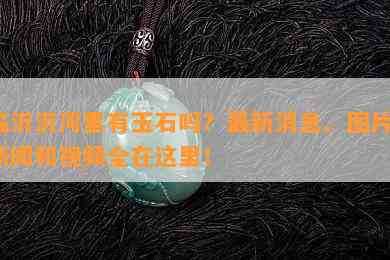 临沂沂河里有玉石吗？最新消息、图片、新闻和视频全在这里！