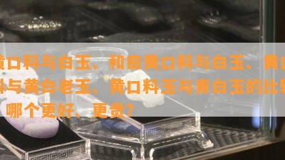 黄口料与白玉、和田黄口料与白玉、黄口料与黄白老玉、黄口料玉与青白玉的比较：哪个更好、更贵？