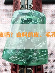 山料也有皮吗？山料的皮、毛孔与颜色特征解析