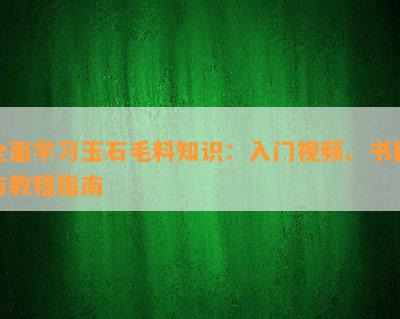 全面学习玉石毛料知识：入门视频、书籍与教程指南