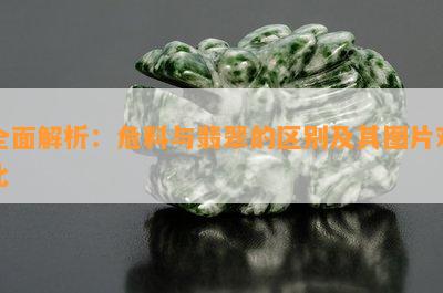 全面解析：危料与翡翠的区别及其图片对比