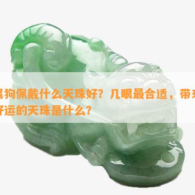 属狗佩戴什么天珠好？几眼最合适，带来好运的天珠是什么？