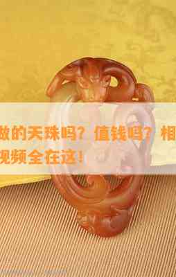 有玻璃做的天珠吗？值钱吗？相关图片、回答及视频全在这！