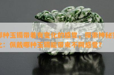 哪种玉镯带着有变化的感觉，探索神秘变化：佩戴哪种玉镯能带来不同感觉？