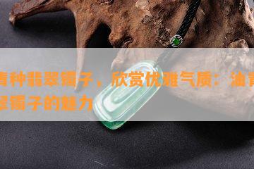 油青种翡翠镯子，欣赏优雅气质：油青种翡翠镯子的魅力