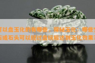 可以盘玉化的有哪些，探秘玉化：哪些宝石或石头可以经过盘玩后达到玉化效果？