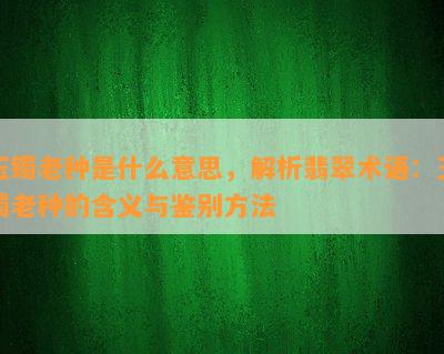 玉镯老种是什么意思，解析翡翠术语：玉镯老种的含义与鉴别方法