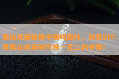 爬山虎藤能做手镯吗图片，创意DIY：用爬山虎藤制作独一无二的手镯！