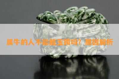 属牛的人不能戴玉镯吗？原因解析