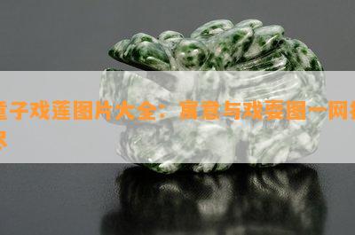 童子戏莲图片大全：寓意与戏耍图一网打尽