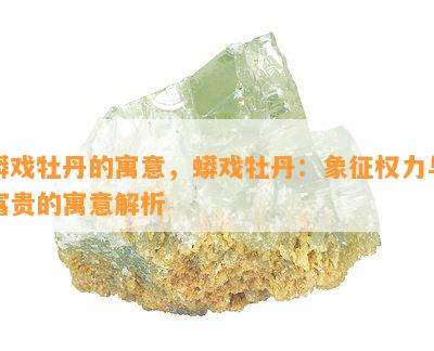 蟒戏牡丹的寓意，蟒戏牡丹：象征权力与富贵的寓意解析