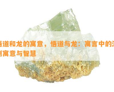 悟道和龙的寓意，悟道与龙：寓言中的深刻寓意与智慧