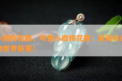 小鹿梅花鹿，可爱小鹿梅花鹿：萌萌哒动物世界新宠！