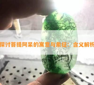 探讨菩提阿呆的寓意与象征：含义解析