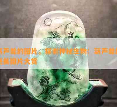 葫芦兽的图片，探索神秘生物：葫芦兽的绝美图片大赏