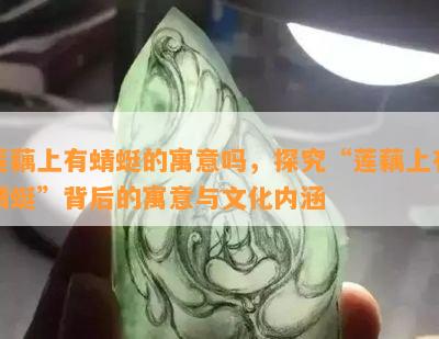 莲藕上有蜻蜓的寓意吗，探究“莲藕上有蜻蜓”背后的寓意与文化内涵