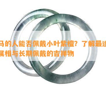 属马的人能否佩戴小叶紫檀？了解最适合的属相与长期佩戴的吉祥物