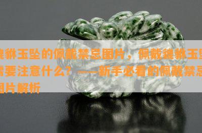 貔貅玉坠的佩戴禁忌图片，佩戴貔貅玉坠需要注意什么？——新手必看的佩戴禁忌图片解析